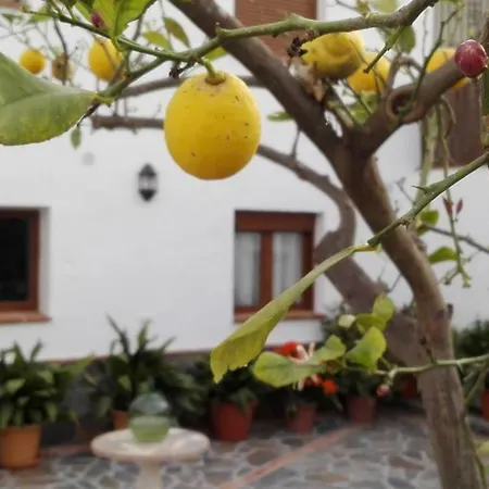 Casa Vega *